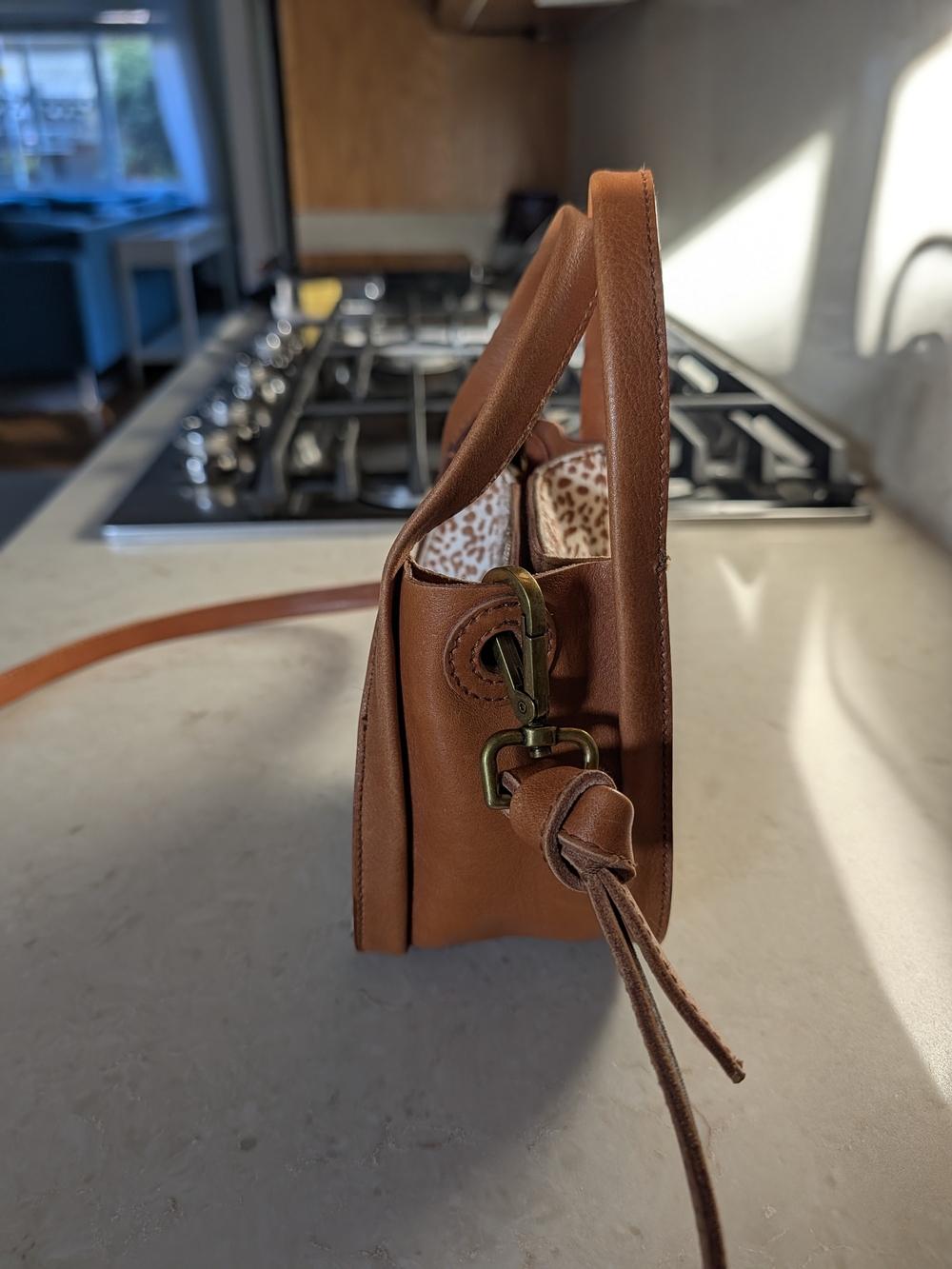 Madewell Micro Sydney Crossbody Bag in Animal Spotted Calf Hair - Picture 2 of 10